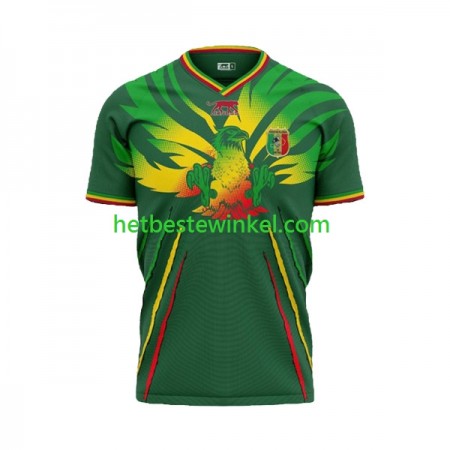 Mali Voetbalshirts Uit 2024